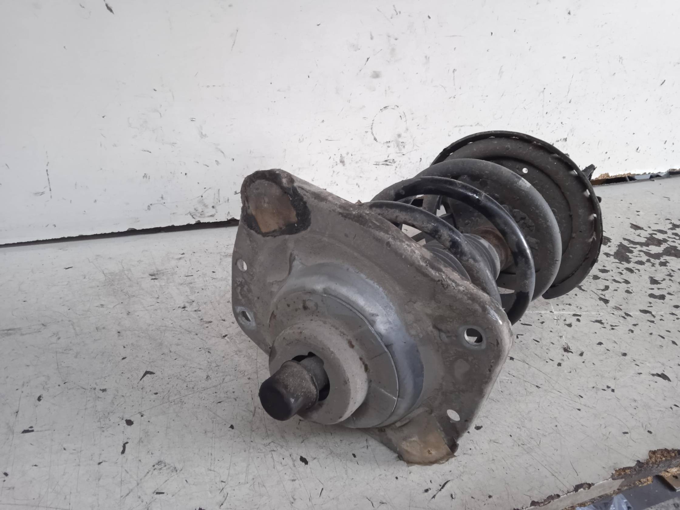 Ammortizzatore ant. sx.